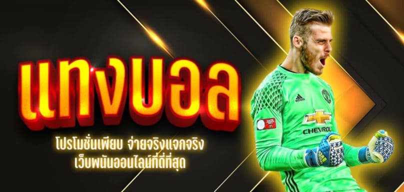 แทงบอล789